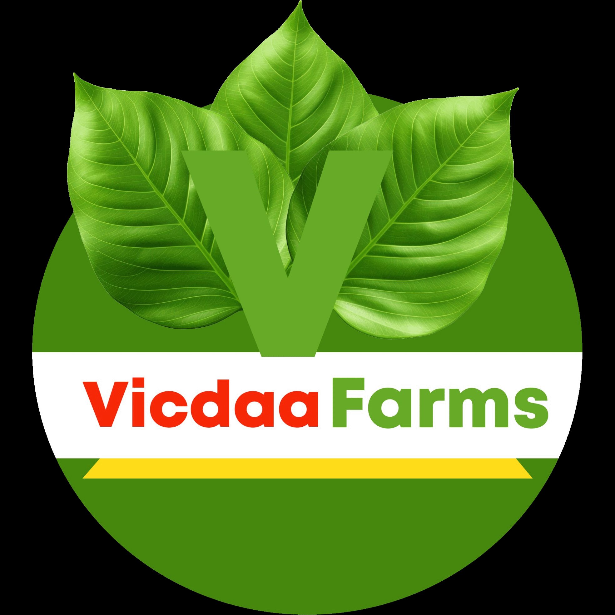 Vicdaa
